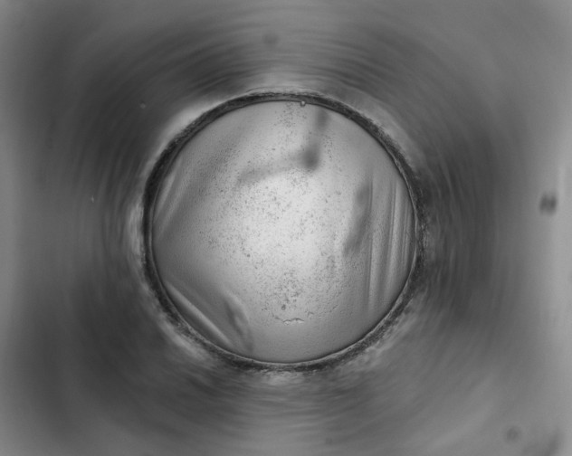 X0000102501030200808221749