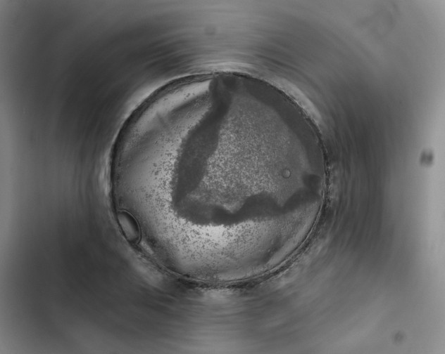 X0000102501031200808221749