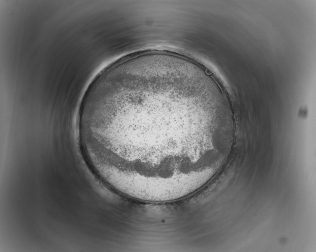 X0000102501032200808221749