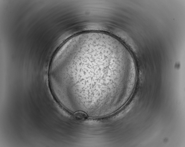 X0000102501033200808221749