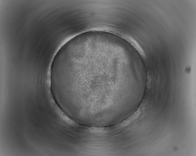 X0000102501036200808221749