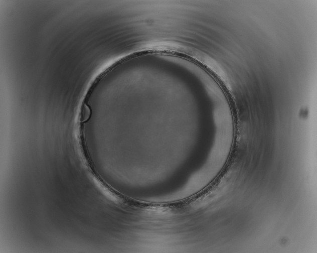 X0000102501037200808221749