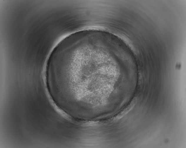 X0000102501038200808221749