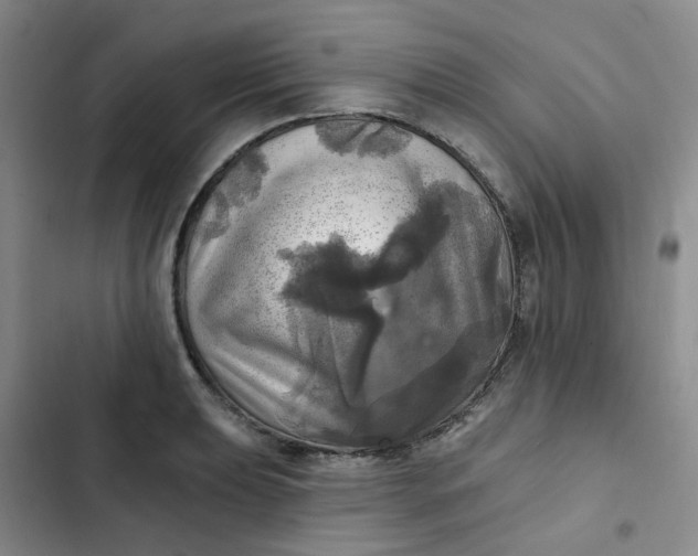 X0000102501039200808221749