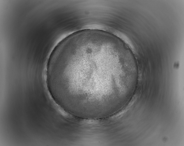 X0000102501040200808221749