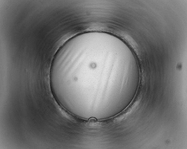 X0000102501041200808221749