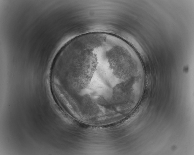 X0000102501043200808221749