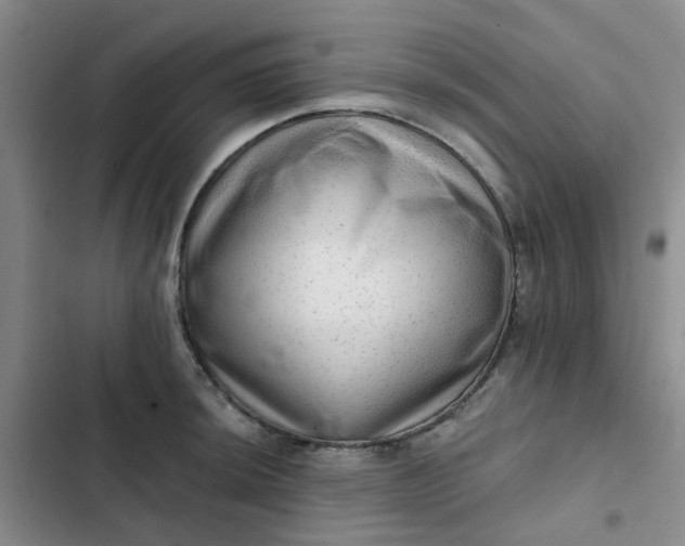 X0000102501044200808221749