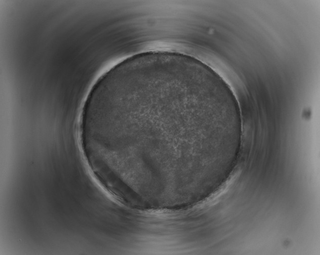 X0000102501045200808221749