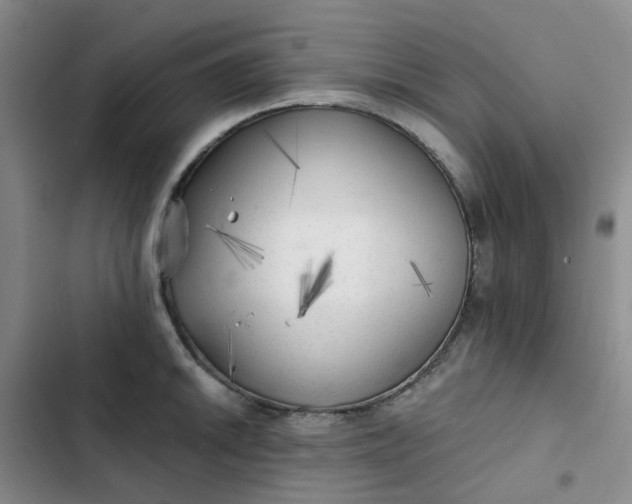 X0000102501046200808221749