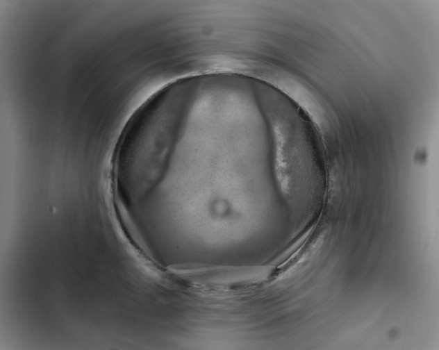 X0000102501047200808221749