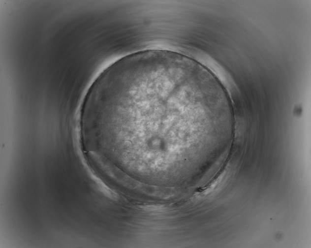 X0000102501048200808221749