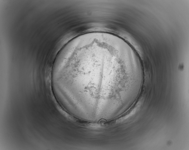 X0000102501049200808221749