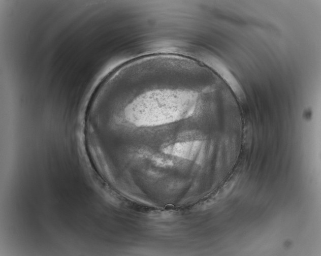 X0000102501051200808221749