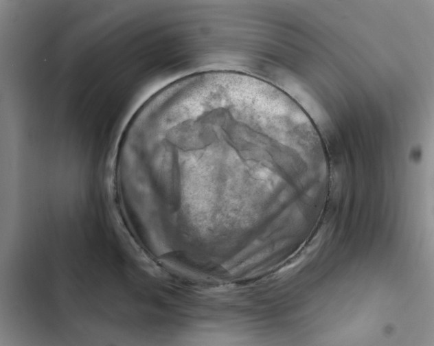 X0000102501052200808221749