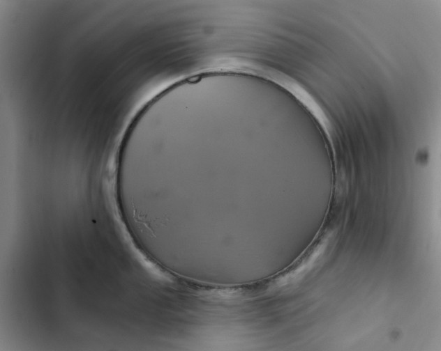 X0000102501053200808221749