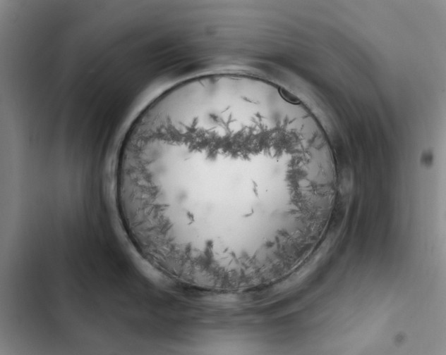 X0000102501054200808221749