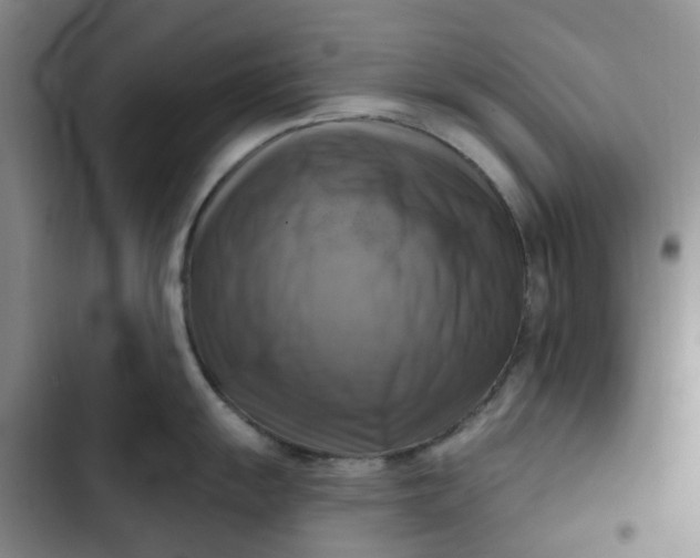 X0000102501055200808221749