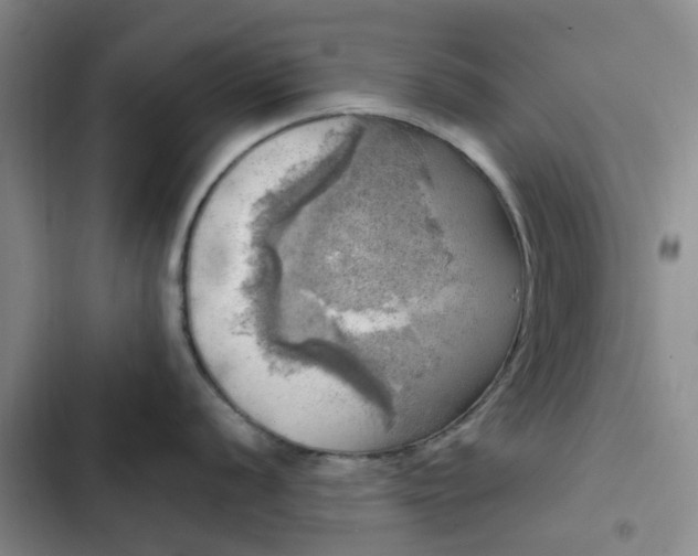 X0000102501056200808221749