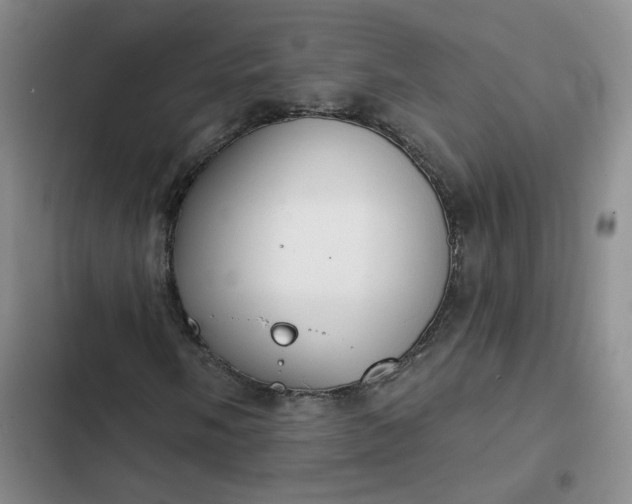 X0000102501058200808221749