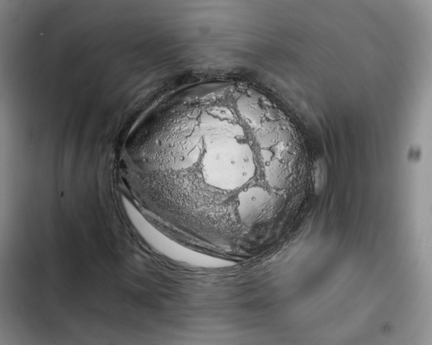 X0000102501059200808221749