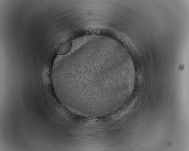 X0000102501060200808221749