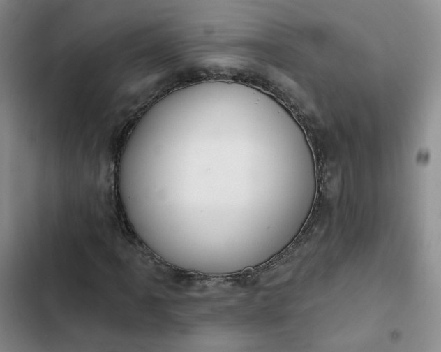 X0000102501061200808221749