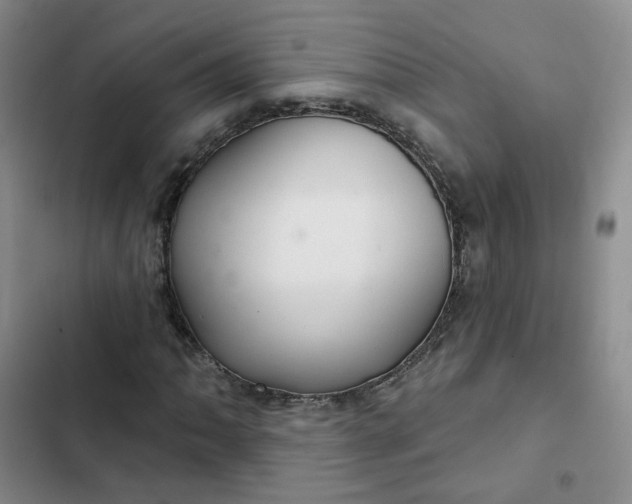 X0000102501062200808221749