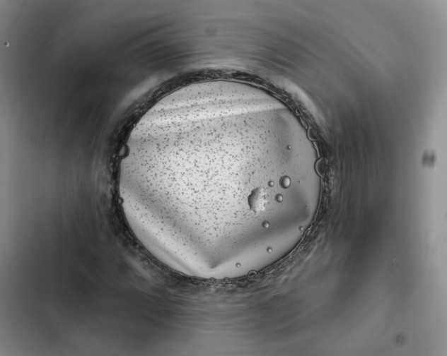 X0000102501064200808221748