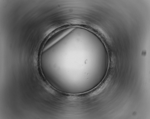 X0000102501065200808221748