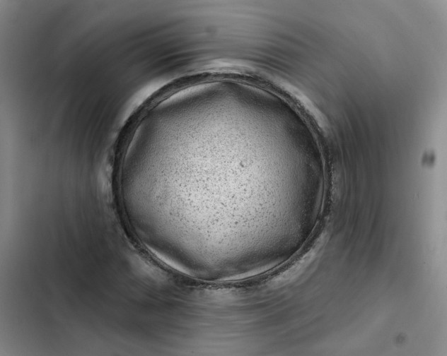 X0000102501066200808221748