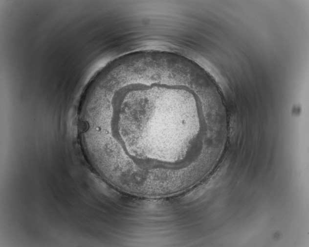 X0000102501067200808221748