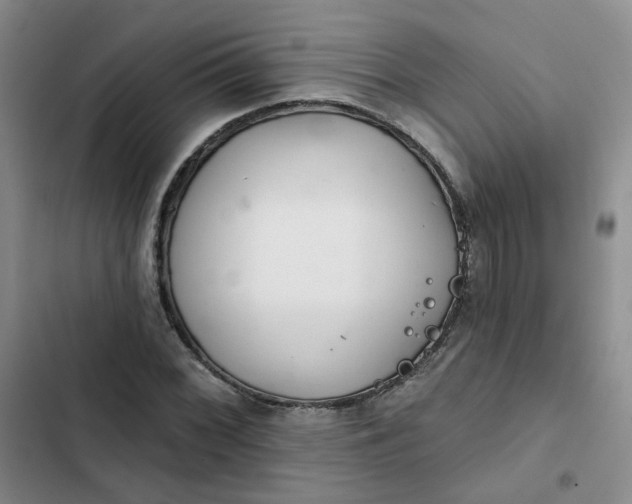 X0000102501068200808221748