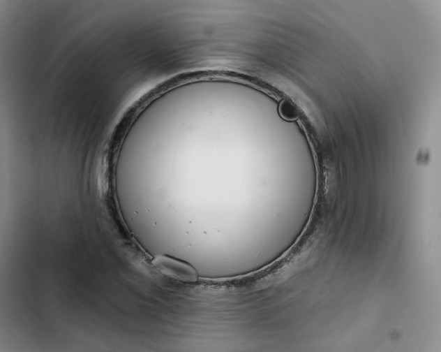 X0000102501069200808221748