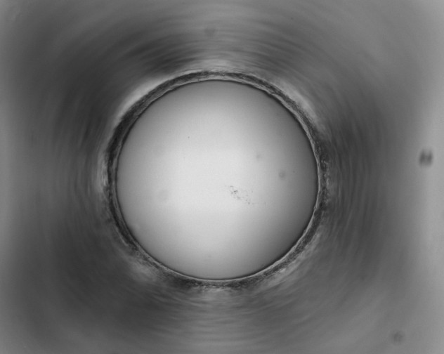 X0000102501070200808221748