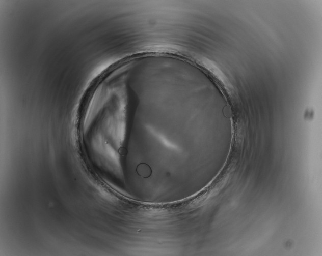 X0000102501071200808221748