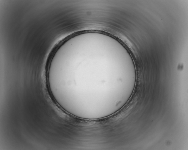 X0000102501072200808221748