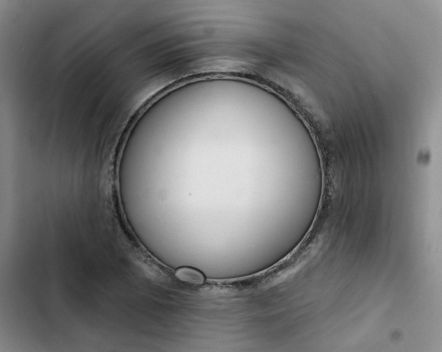 X0000102501073200808221748