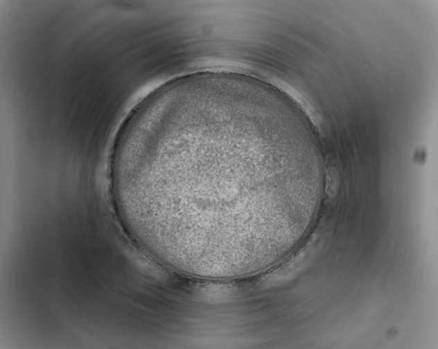 X0000102501074200808221748