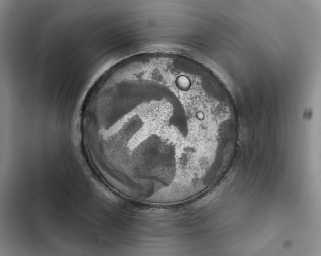 X0000102501075200808221748