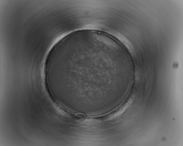 X0000102501077200808221748