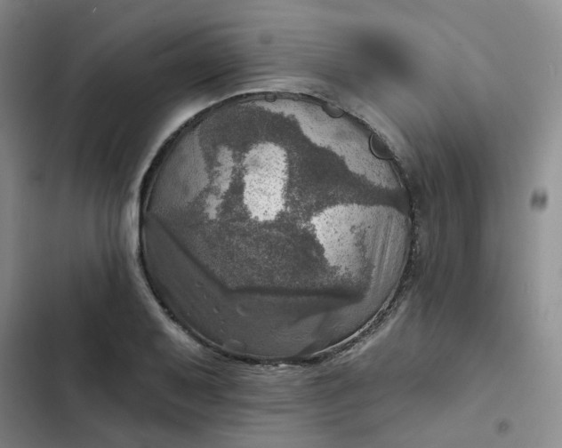 X0000102501079200808221748