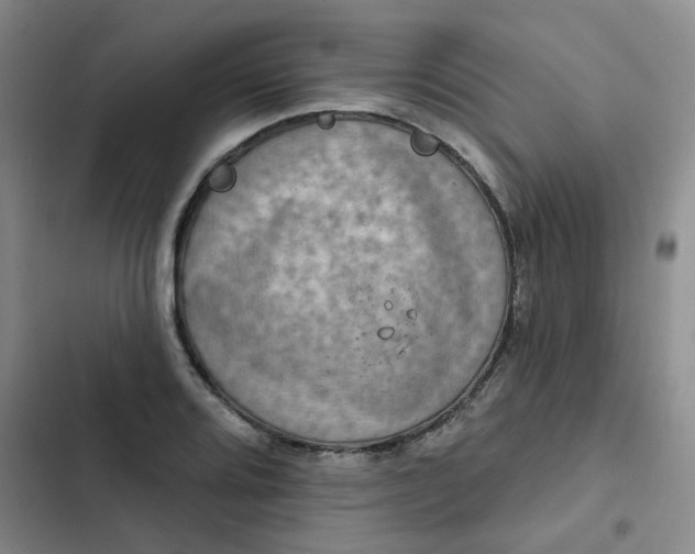 X0000102501080200808221748