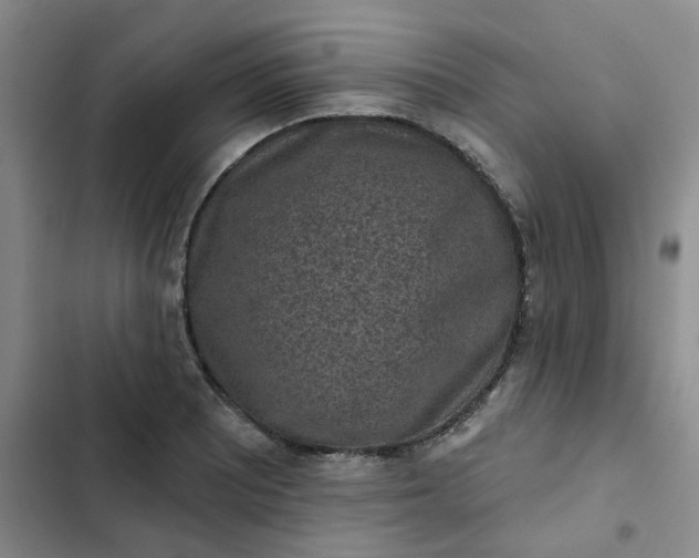 X0000102501081200808221748