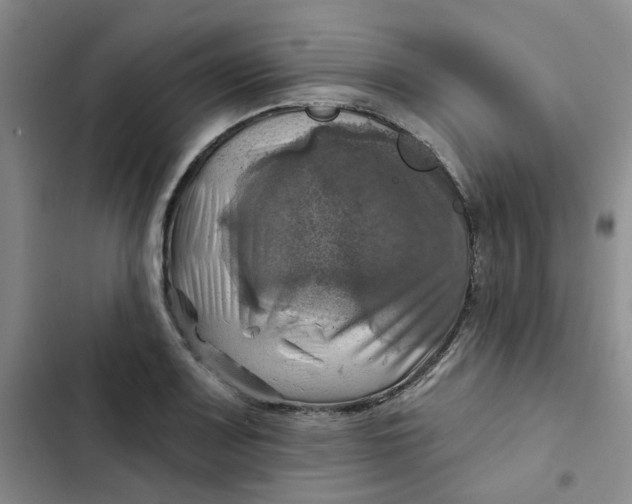 X0000102501083200808221748