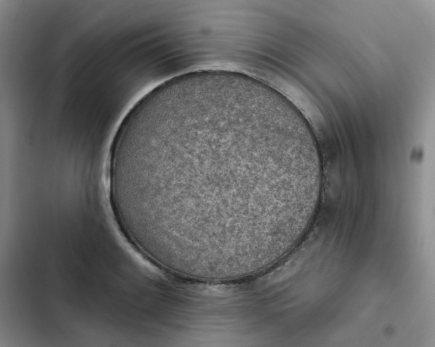 X0000102501084200808221748