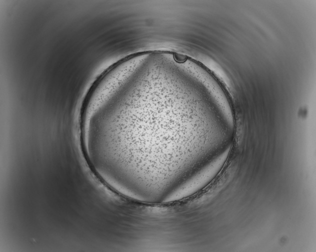 X0000102501088200808221748