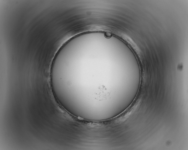 X0000102501089200808221748