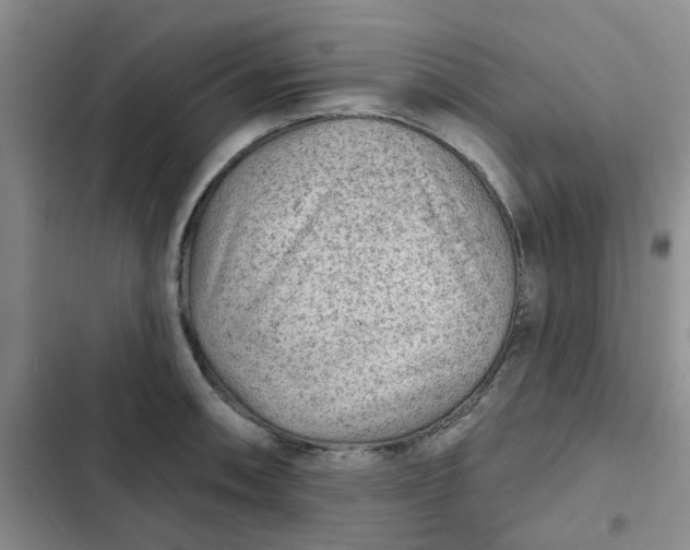 X0000102501090200808221748