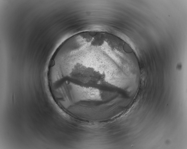 X0000102501091200808221748